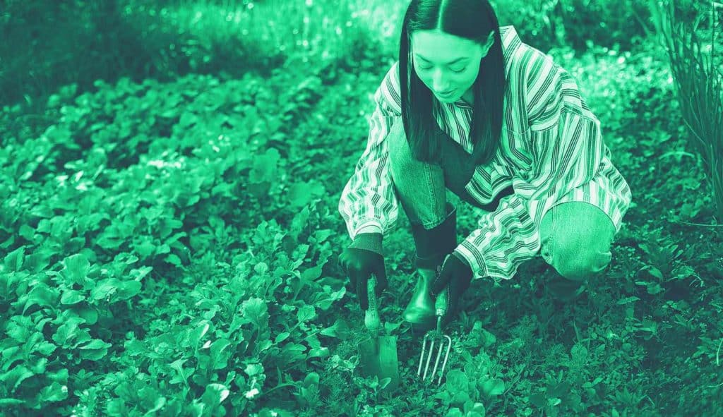 persona che mette delle piante in giardino grazie al bonus verde 2021